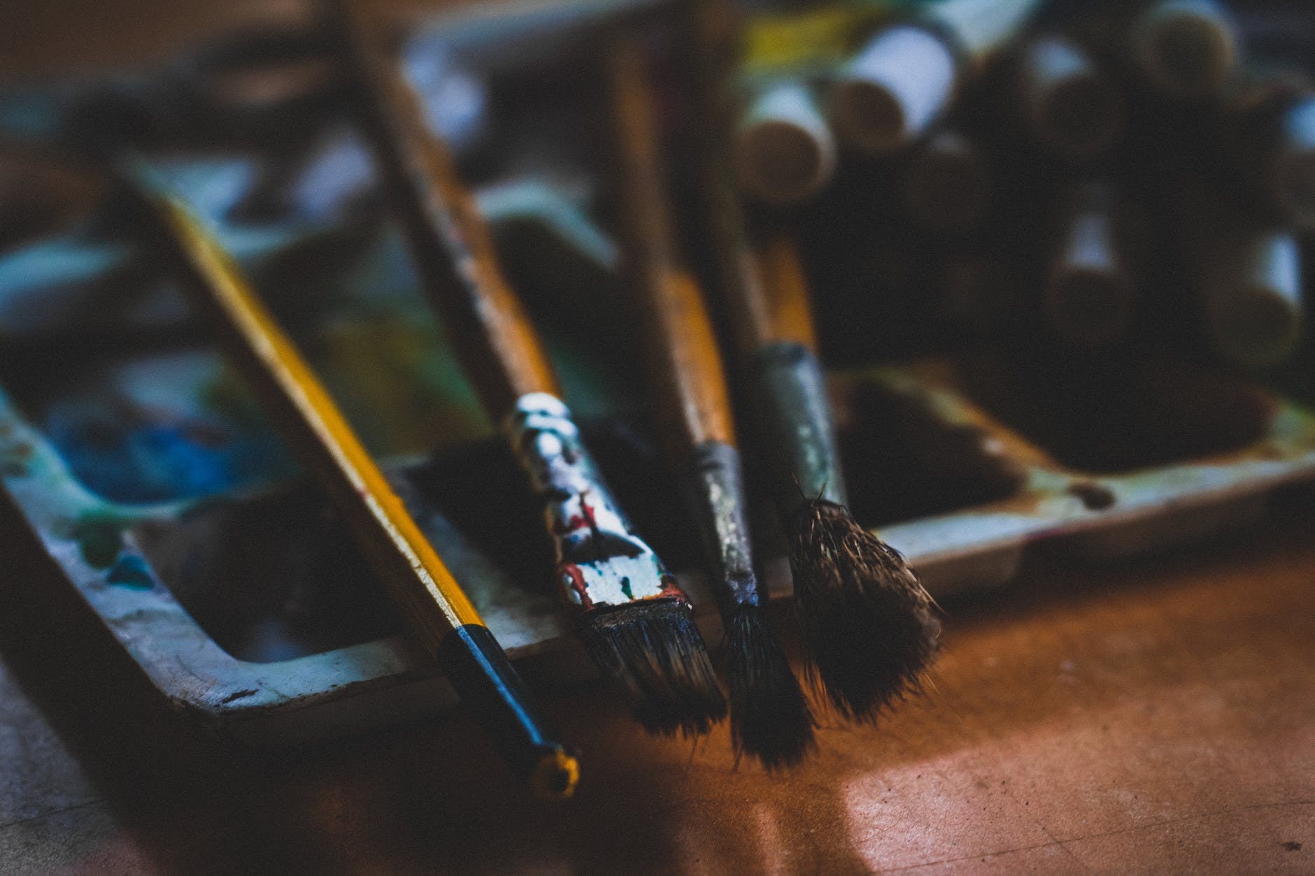 four paint brushes in macro photography